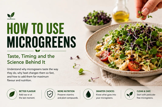 Fresh microgreens being added to a finished dish, illustrating how to use microgreens for flavour, nutrition and everyday cooking.