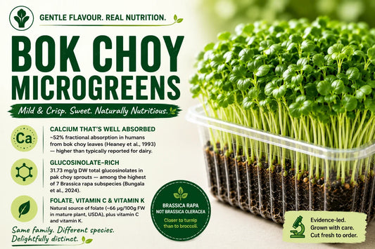 Bok choy microgreens growing densely in a clear tray, alongside an AgriZen infographic highlighting their mild flavour, well-absorbed calcium, glucosinolates, folate, vitamins C and K, and Brassica rapa classification.