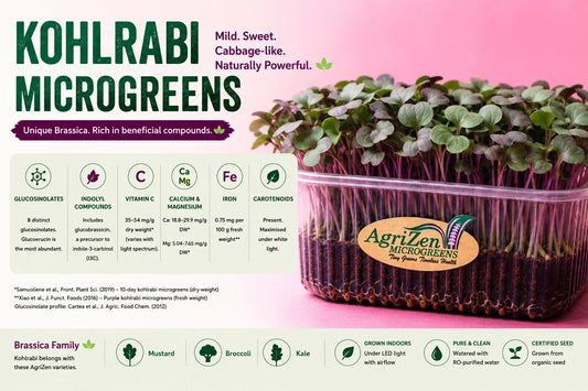 Kohlrabi microgreens with green leaves and purple stems growing densely in a tray, alongside an infographic highlighting their glucosinolates, vitamin C, minerals and carotenoids.