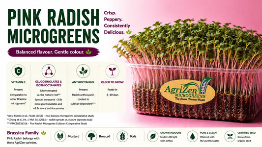 Pink Radish microgreens with pink stems and green leaves, highlighting their crisp, peppery flavour and key nutrients including vitamin C, glucosinolates and anthocyanins.