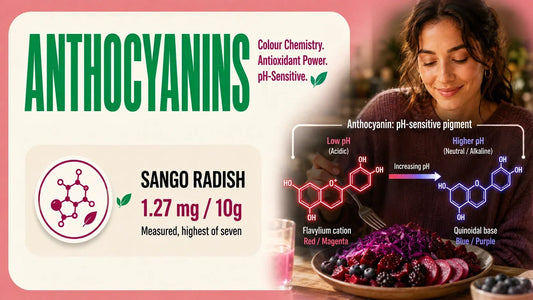 Anthocyanins infographic showing Sango radish content and how the pigment changes color at different pH levels beside a healthy meal