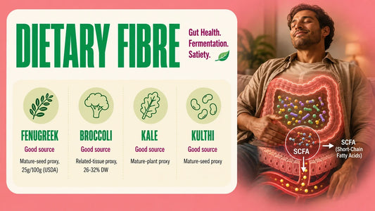 Dietary fibre infographic highlighting fenugreek, broccoli, kale and kulthi as fibre sources, alongside a relaxed person with a gut illustration showing intestinal bacteria producing and absorbing short-chain fatty acids (SCFAs).