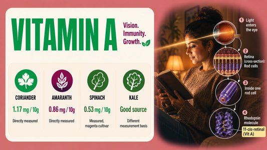 Vitamin A infographic showing microgreen sources and how vitamin A supports vision through the retina and rod cells