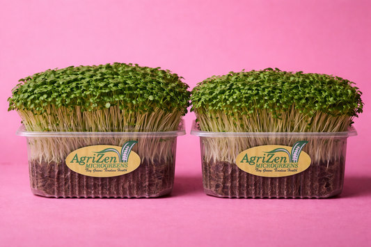 Bok Choy & Pink Radish