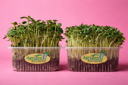 Fenugreek & Sunflower