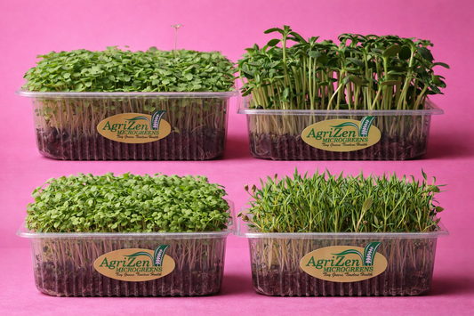 Spinach, Turnip, Sunflower, Basil