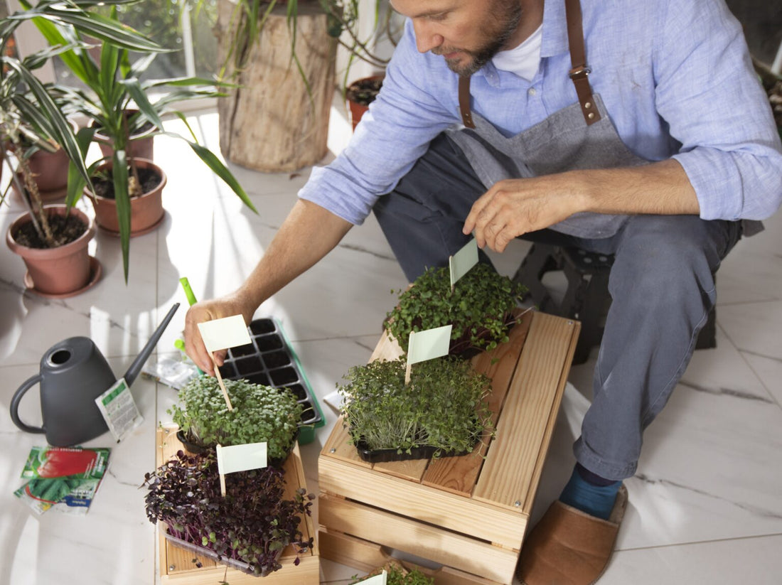 Grow Microgreens at Home — Simple Indoor Gardening Guide