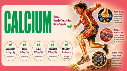 Calcium infographic showing microgreen sources and a jumping child with visuals explaining bone strength muscle contraction and nerve signals