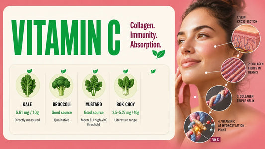 Vitamin C infographic showing microgreen sources and how vitamin C supports collagen formation in healthy skin.
