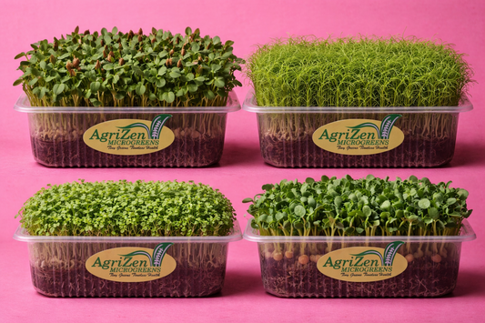 Affilia Pea, Bokchoy, Basil, Flax