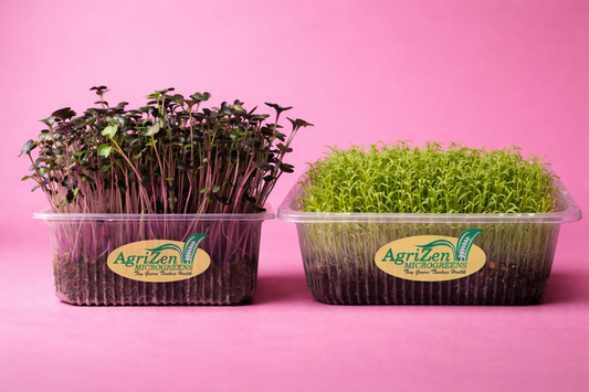 Amaranthus & Sango Radish